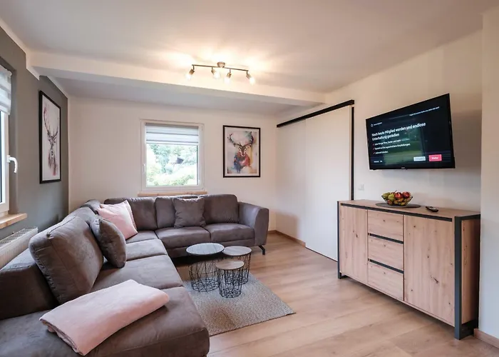 Eifelhaus Abel Tatil Evi *